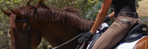 N2 Saddlery Sponsored Rider Dawn White-O'Conner