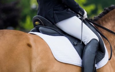 Fit Tips: Choosing the Right Saddle Pad