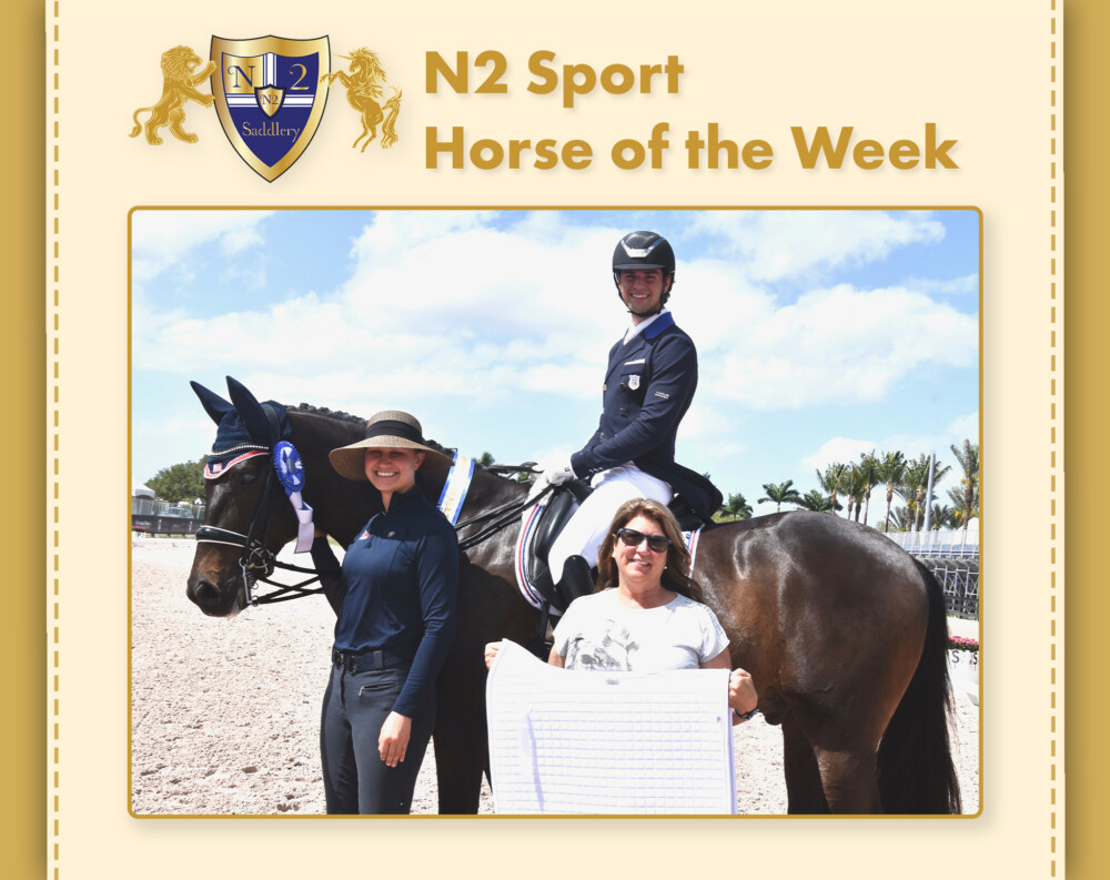 Zeaball Diawind with Christian Simonson, presented by Adrienne Lyle and Sue Newell of N2 Saddlery.